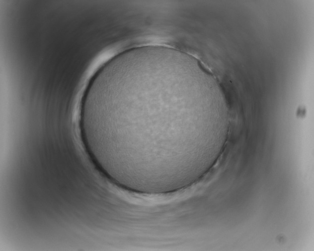 X0000102410006200808152016