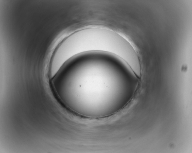 X0000102410007200808152016