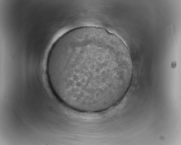 X0000102410008200808152015