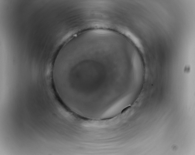 X0000102410009200808152015