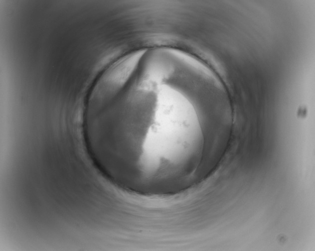 X0000102410010200808152015