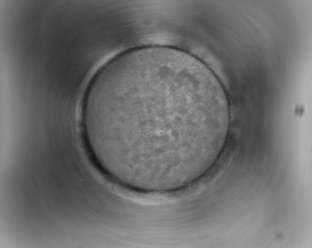 X0000102410012200808152015