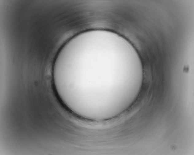 X0000102410015200808152015