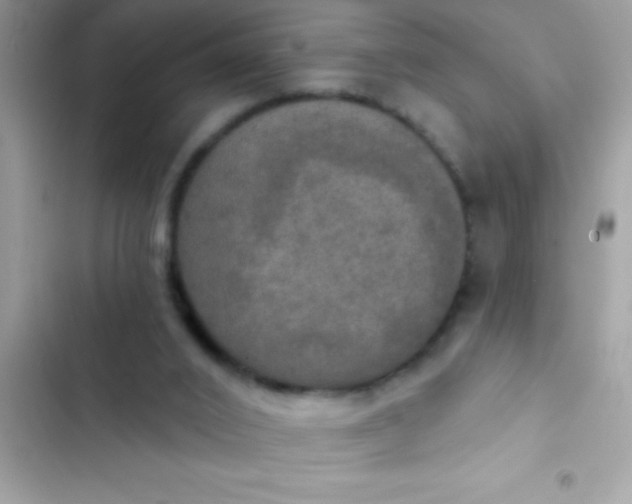 X0000102410016200808152015