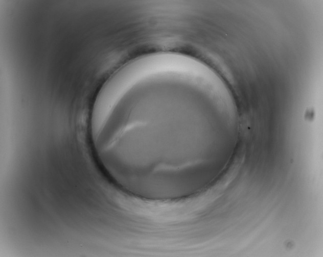 X0000102410018200808152015