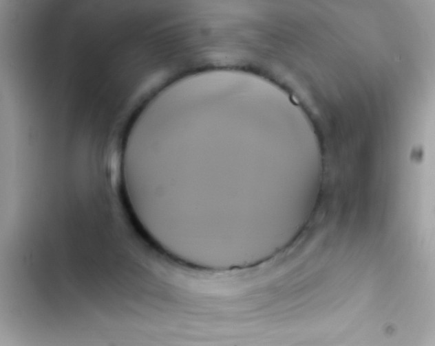 X0000102410019200808152015