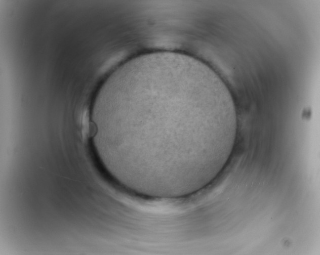 X0000102410020200808152015