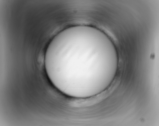 X0000102410021200808152015