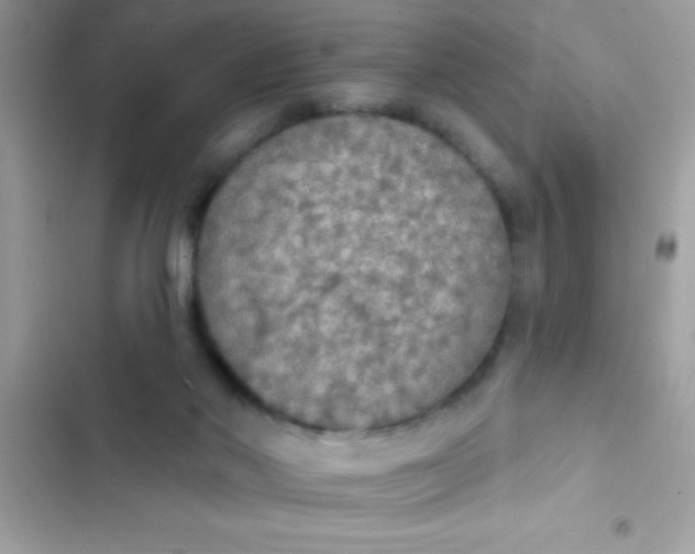 X0000102410022200808152015