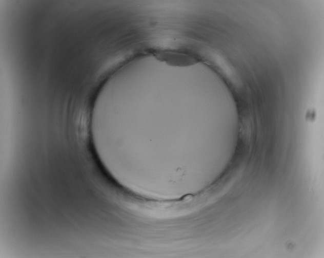 X0000102410023200808152015