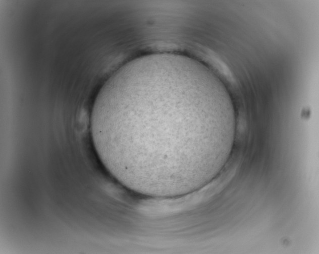 X0000102410025200808152015