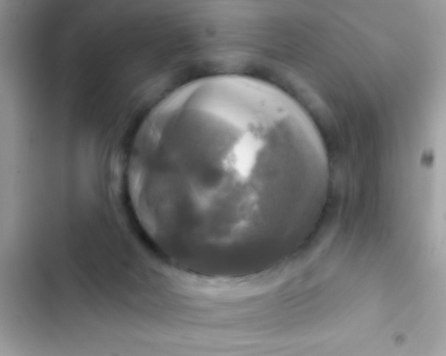 X0000102410026200808152015