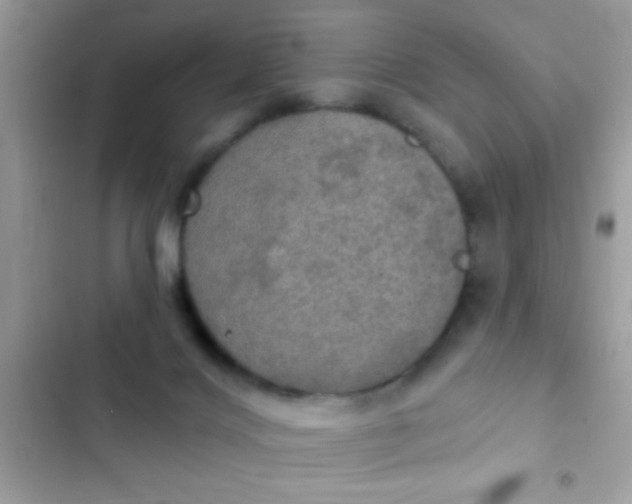 X0000102410028200808152015