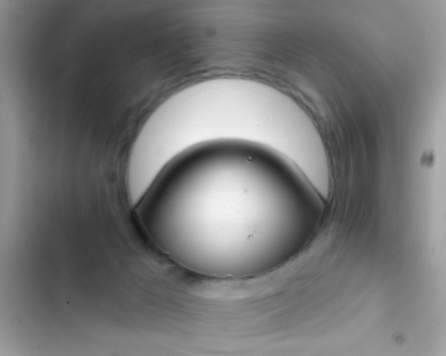 X0000102410029200808152015