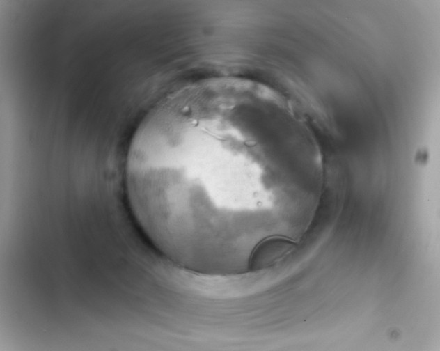 X0000102410030200808152015