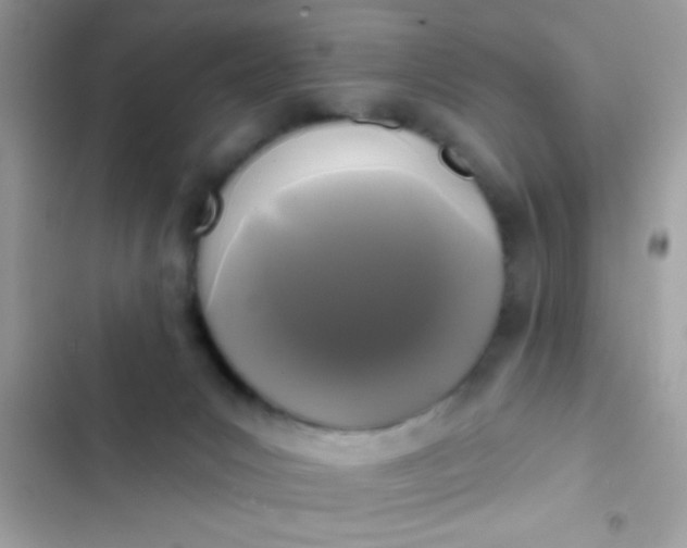 X0000102410031200808152015