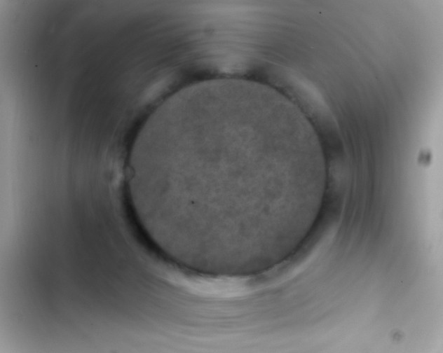 X0000102410032200808152015