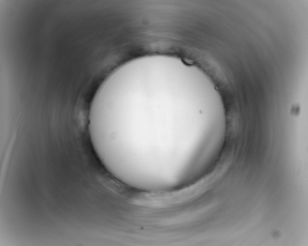 X0000102410033200808152015