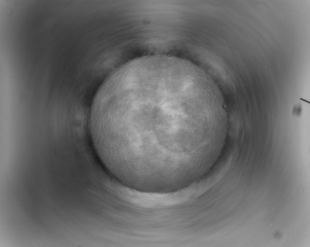 X0000102410034200808152015