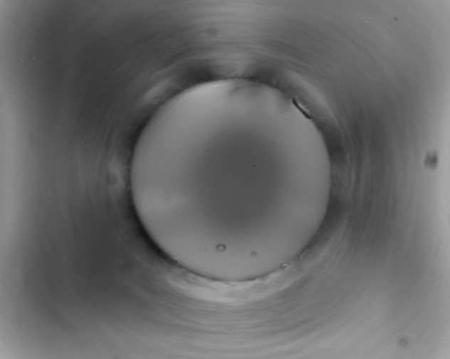 X0000102410035200808152015