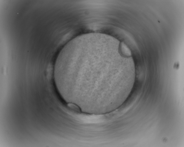 X0000102410036200808152015