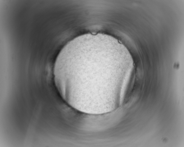 X0000102410037200808152015