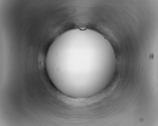 X0000102410038200808152015