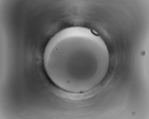 X0000102410039200808152015