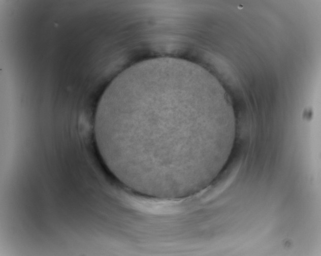 X0000102410040200808152015