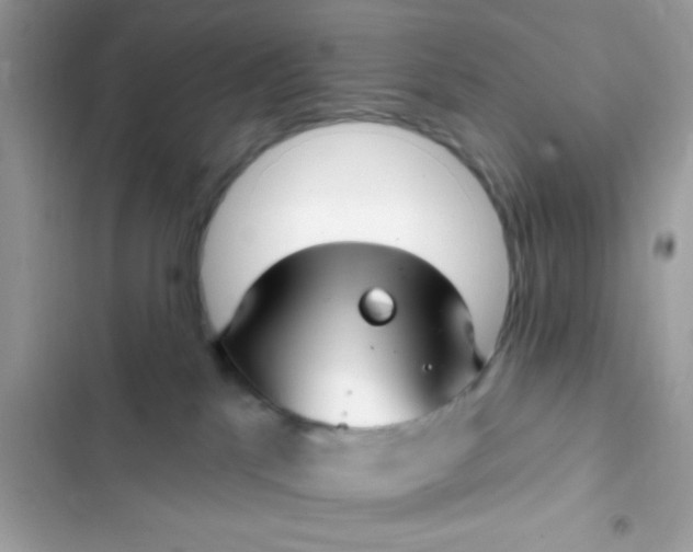 X0000102410041200808152015