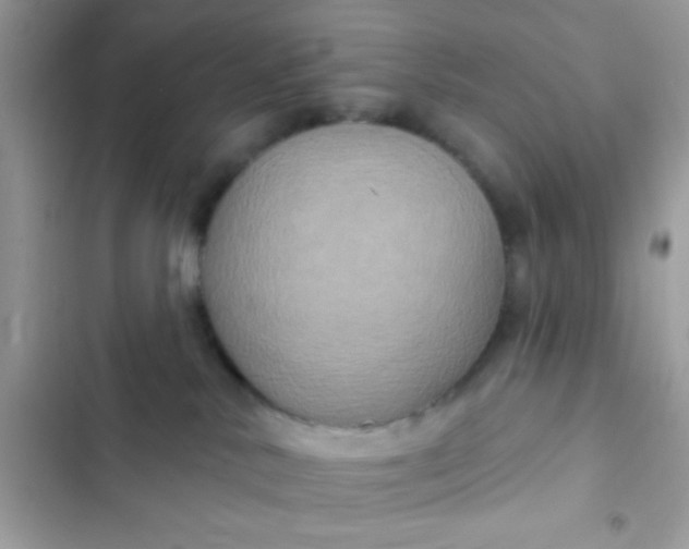 X0000102410042200808152015