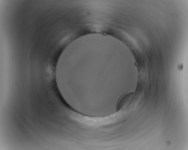 X0000102410043200808152015