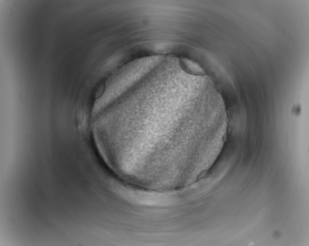 X0000102410044200808152015