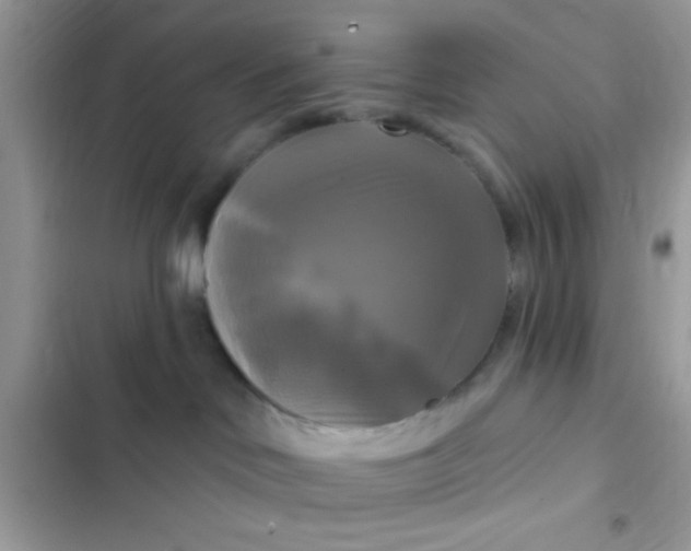 X0000102410046200808152015