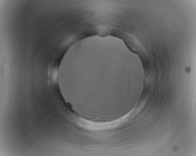 X0000102410047200808152015