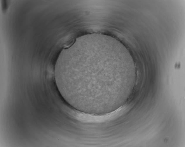 X0000102410048200808152015