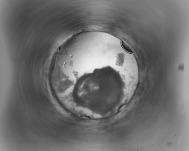 X0000102410049200808152014