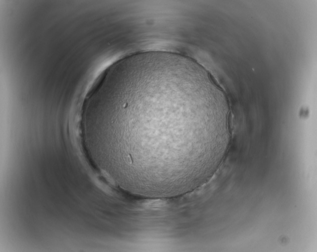 X0000102410050200808152014