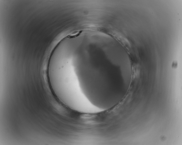 X0000102410051200808152014