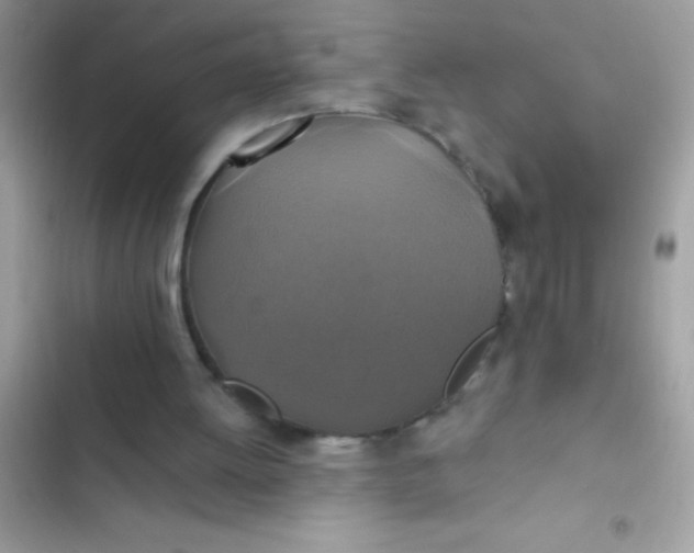 X0000102410052200808152014