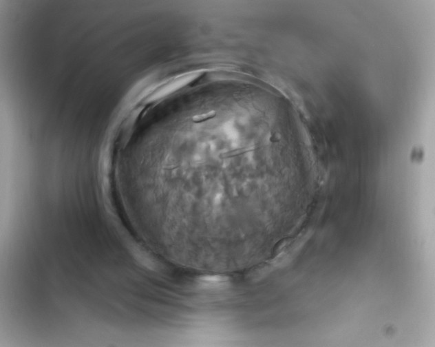 X0000102410053200808152014