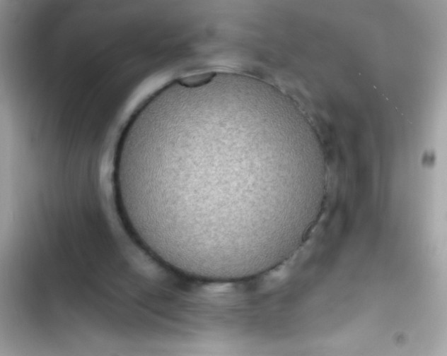 X0000102410054200808152014