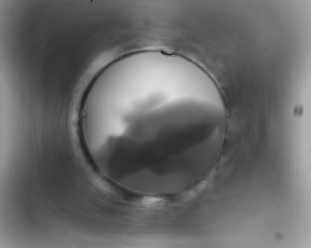 X0000102410055200808152014