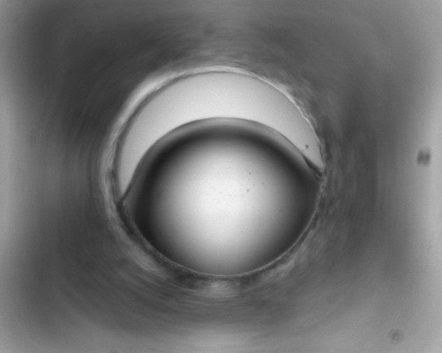 X0000102410056200808152014