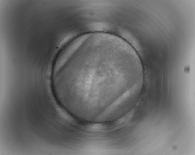 X0000102410058200808152014