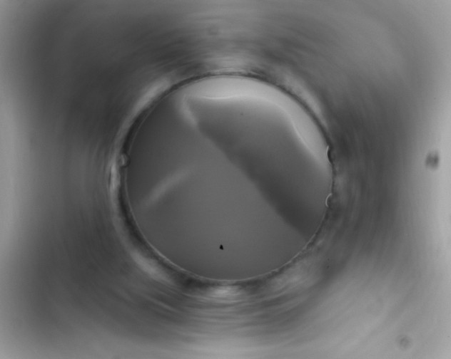 X0000102410059200808152014