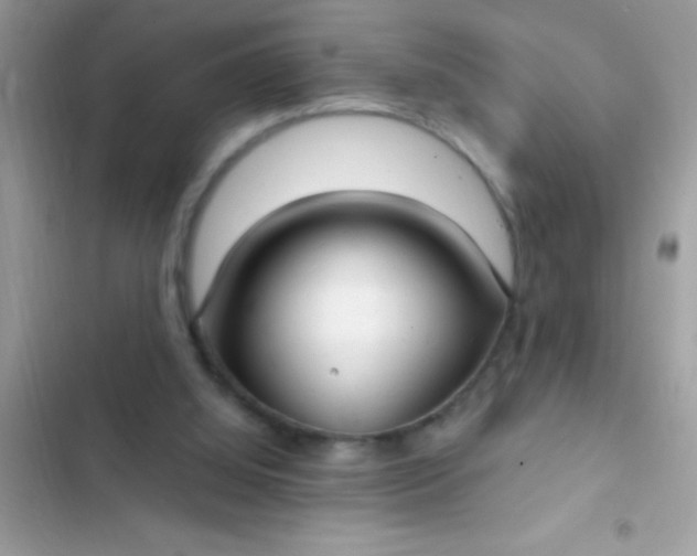 X0000102410060200808152014