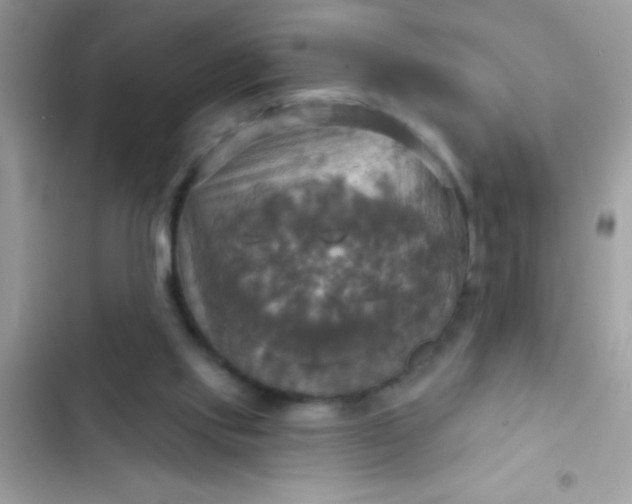 X0000102410061200808152014