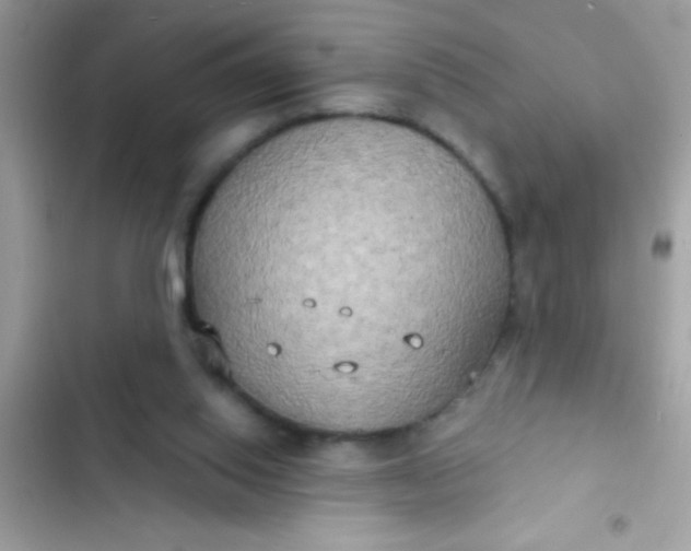 X0000102410062200808152014