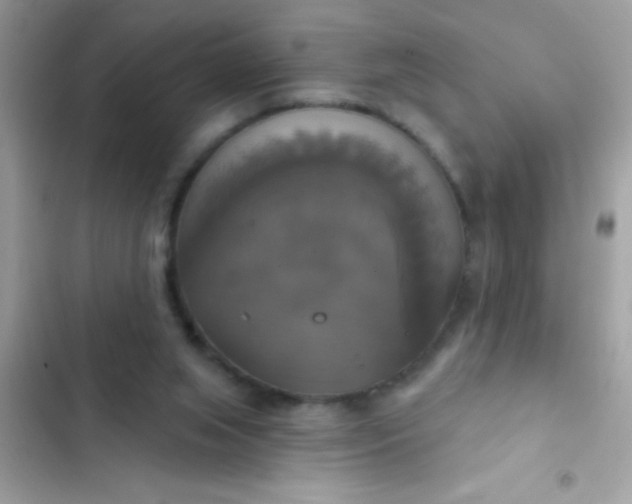 X0000102410063200808152014